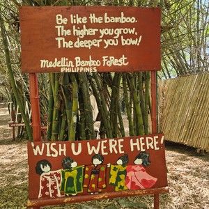 Meet your Posher, Gilda